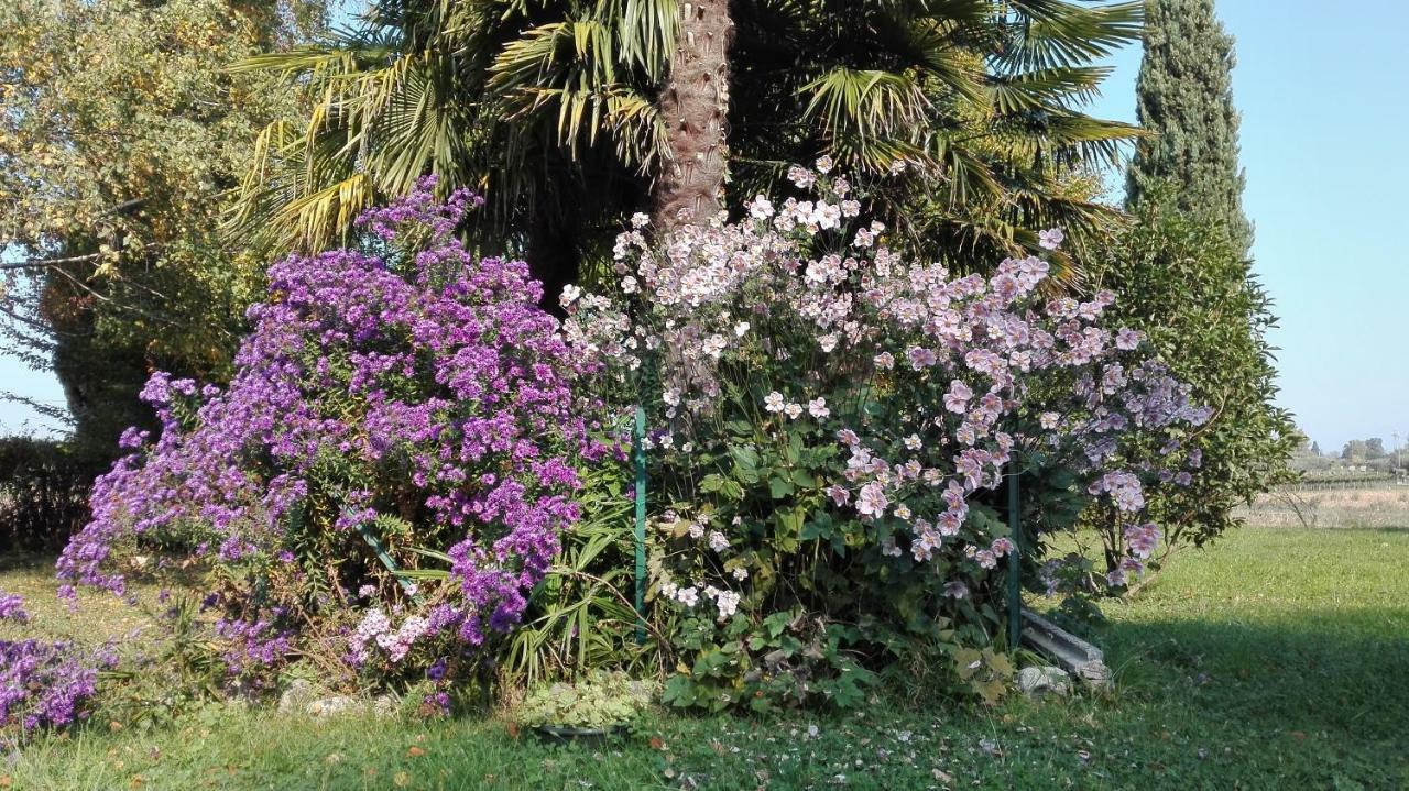 B&B da Miriam Castelnuovo del Garda Bagian luar foto